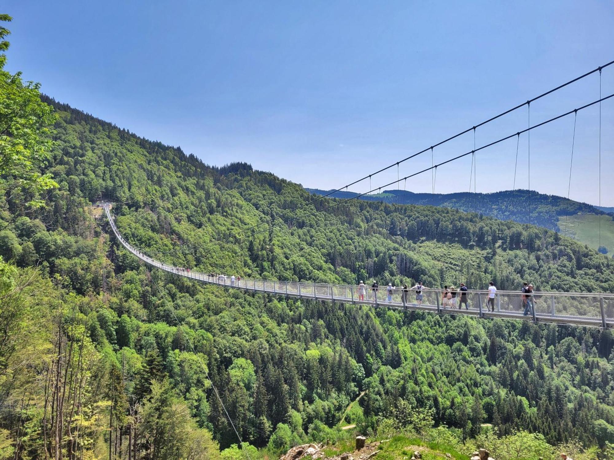 Fewo 1 - Residenz Schauinsland - Mit Sauna, E-Ladestation, Todtnauberg, Bei Feldberg Zewnętrze zdjęcie